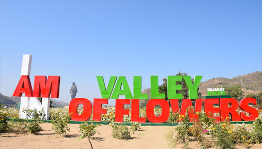 Vally of Flowers- Statue of unity